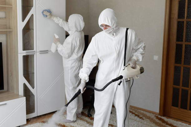 24/7 Emergency Odor Removal experts in Greenfield, OH